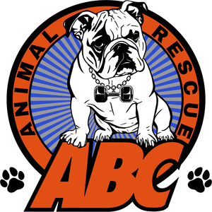 Team Page: ABC - C